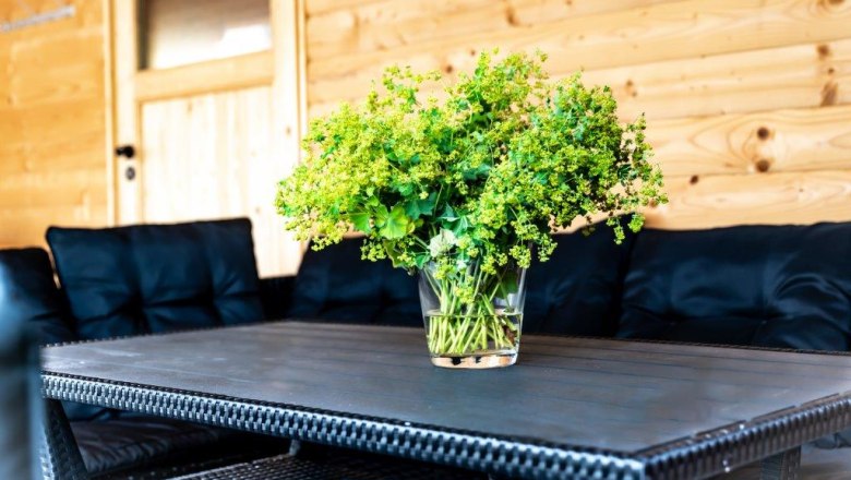 Arbor, © Hanifoto.at HANI OTTLIK Arbor, © Hanifoto.at HANI OTTLIK