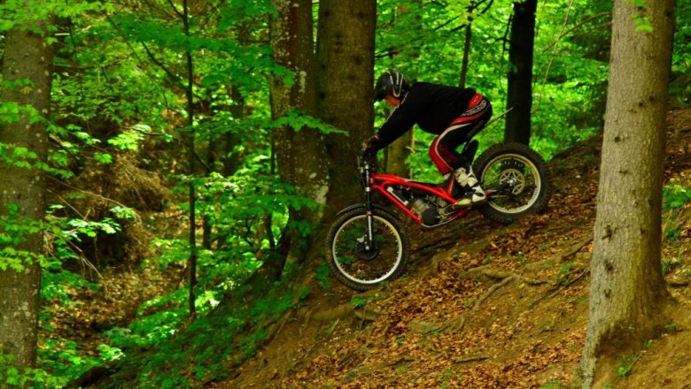 Schaureith boss Peter, © Familie Enöckl Schaureith boss Peter, © Familie Enöckl