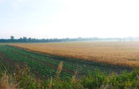 The Bronze Age cemeteries in Franzhausen, © ARDIG/Volker Lindinger The Bronze Age cemeteries in Franzhausen, © ARDIG/Volker Lindinger