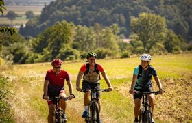 MTB_Traisental 10, © (C) schwarz-koenig.at MTB_Traisental 10, © (C) schwarz-koenig.at