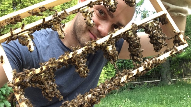 MOSTbee dein Imker, © stoefchr.at MOSTbee dein Imker, © stoefchr.at