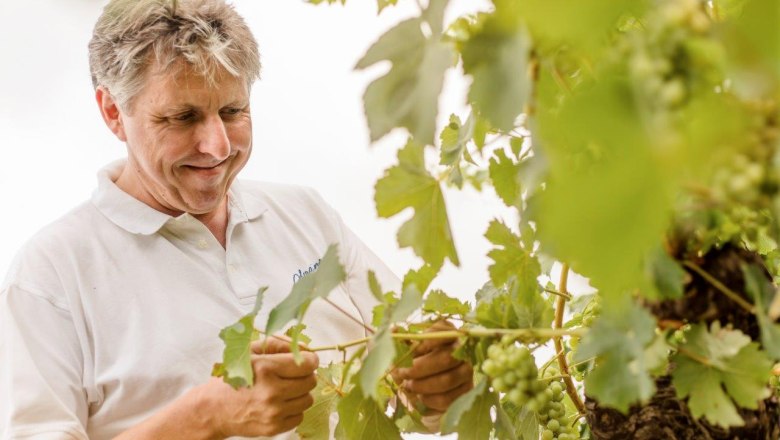 Herzinger Winery, © schwarz-koenig.at Herzinger Winery, © schwarz-koenig.at