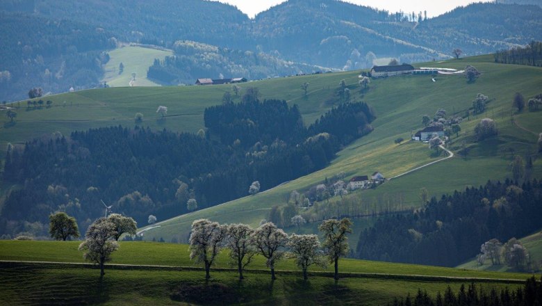 Photo point Mostviertel, © schwarz-koenig.at Photo point Mostviertel, © schwarz-koenig.at