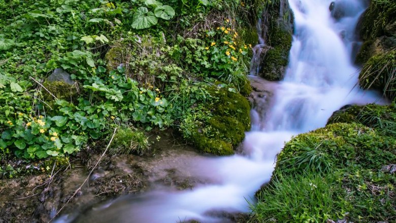 Bach, © www.lensflair.at Bach, © www.lensflair.at