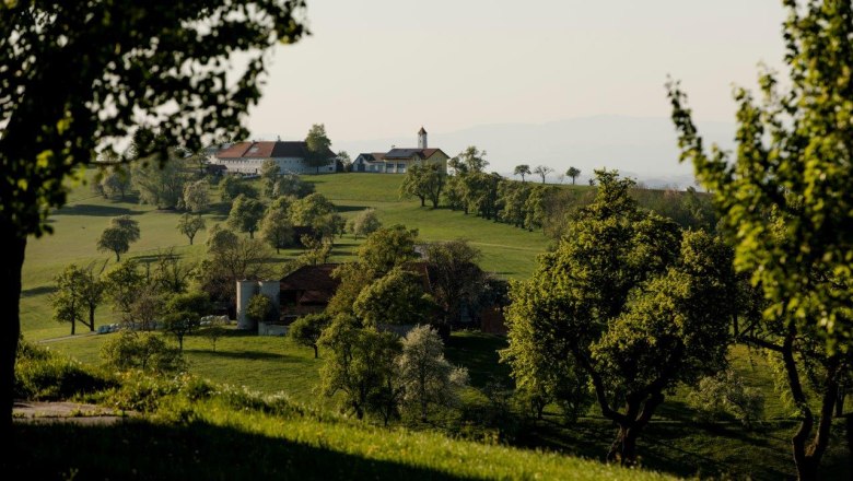 Fotopunkt Moos, © schwarz-koenig.at Fotopunkt Moos, © schwarz-koenig.at