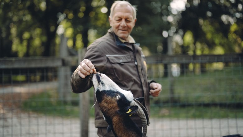 City of Haag Zoo, © Moststraße, dochbodnliacht City of Haag Zoo, © Moststraße, dochbodnliacht