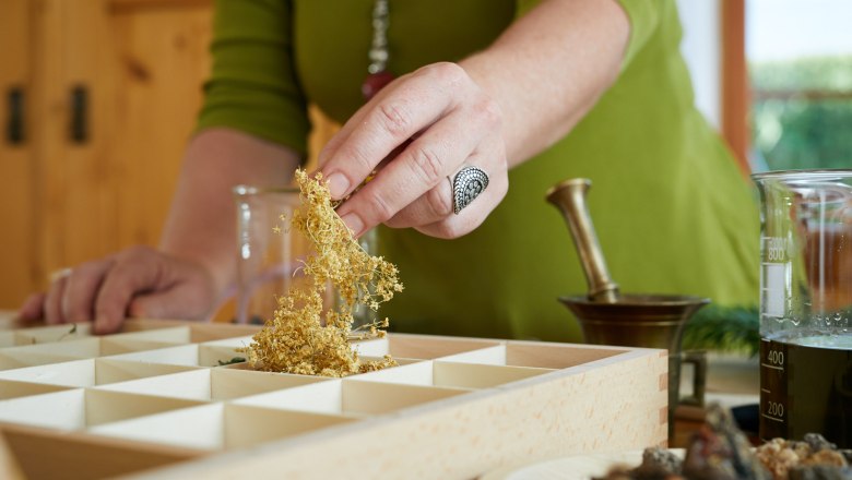 Herbal power plant, © Florian Lierzer Herbal power plant, © Florian Lierzer