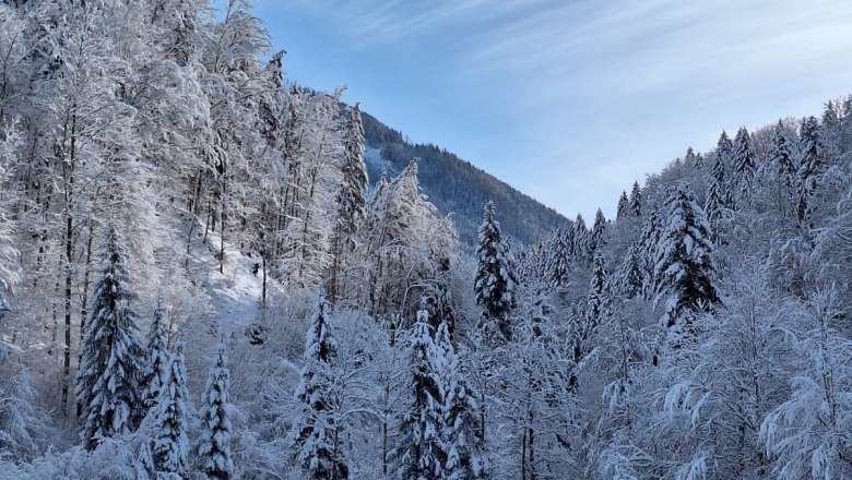 ferienhof-schelchen-in-winter-10, © Schoisswohl ferienhof-schelchen-in-winter-10, © Schoisswohl