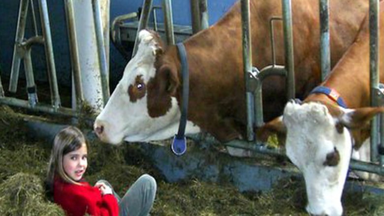 Unser Kuhstall, © Familie Erber Unser Kuhstall, © Familie Erber