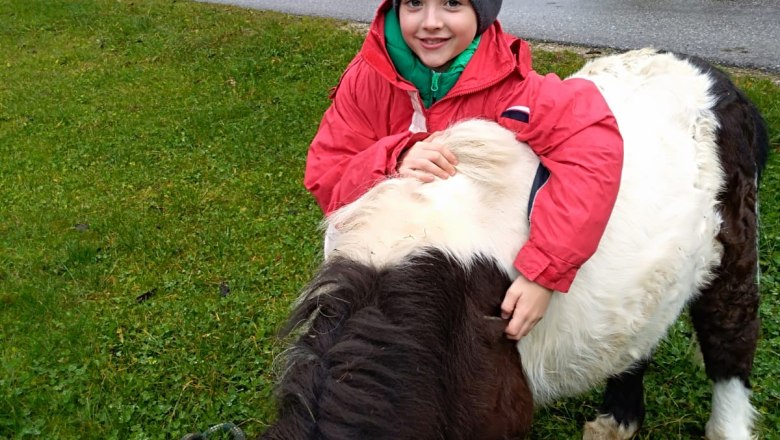 Pferd, © Gabriele Danner Pferd, © Gabriele Danner