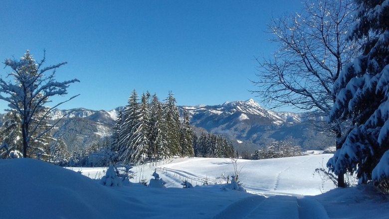 winter-duerrenstein, © Zwickelreih winter-duerrenstein, © Zwickelreih