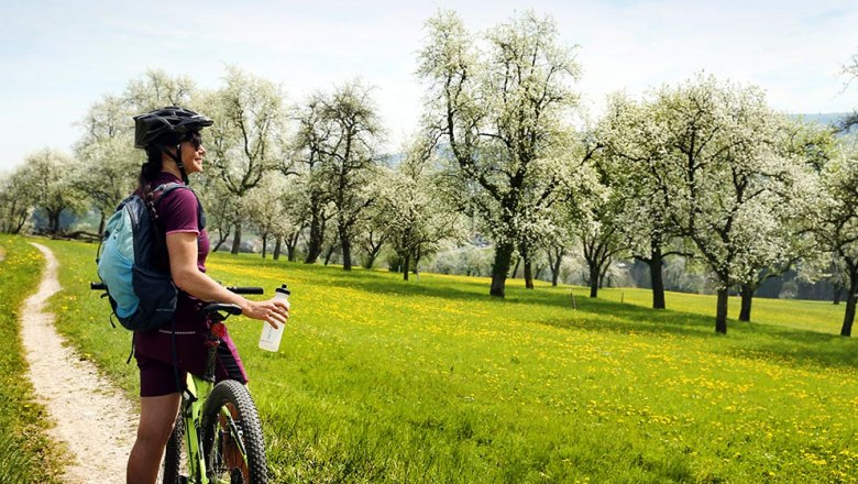 Radeln und genießen entlang der Moststraße, © weinfranz.at Radeln und genießen entlang der Moststraße, © weinfranz.at