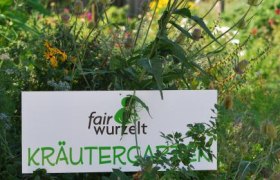 Herb garden fairwurzelt, © fairwurzelt A sign with the inscription 'fairwurzelt Kräutergarten' (fairwurzelt herb garden) stands in the midst of green plants and flowers.