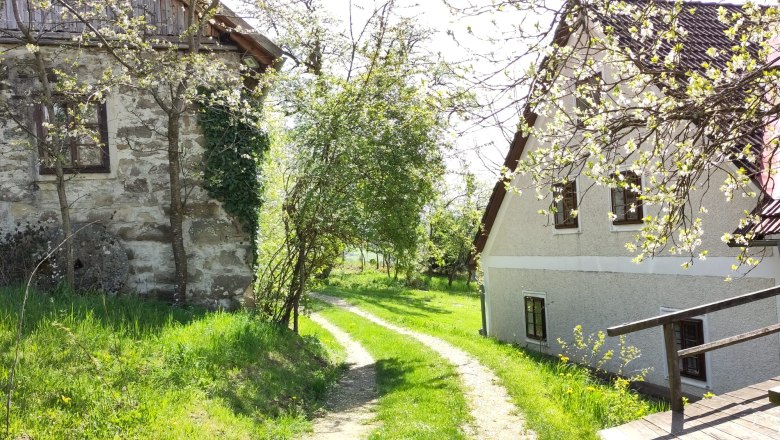 Naturparadies am Sonntagberg, © Stiftner Naturparadies am Sonntagberg, © Stiftner
