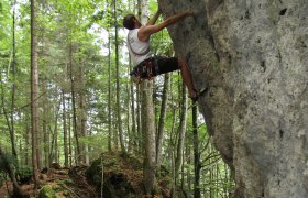 Natur pur im Schluchtenweg, © Ybbstal Climbing Natur pur im Schluchtenweg, © Ybbstal Climbing