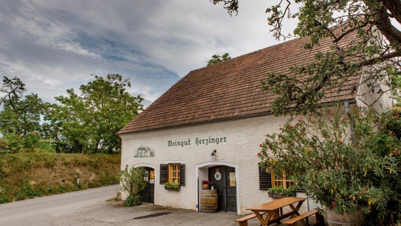 Herzinger Winery, © schwarz-koenig.at Herzinger Winery, © schwarz-koenig.at