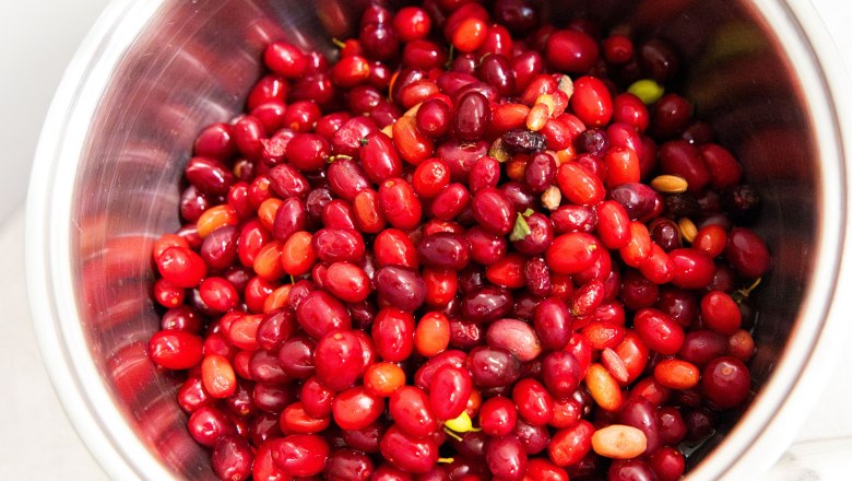 Biohof Schlangenreith, © Theo Kust Biohof Schlangenreith, © Theo Kust