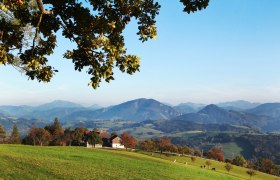 Blick über die weitläufige Landschaft am Panoramahöhenweg, © weinfranz.at Blick über die weitläufige Landschaft am Panoramahöhenweg, © weinfranz.at