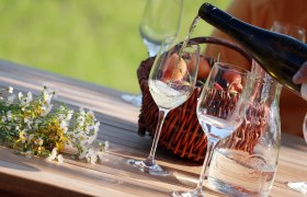 Tasting Traisental wine, © weinfranz.at Tasting Traisental wine, © weinfranz.at