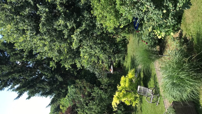 TDR HouseMaier Garden, © Alicia Maier A green garden with trees, shrubs, a raised bed and a wooden chair.