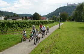 Radeln an der Fladnitztal-Radroute, © Geitzenauer Radeln an der Fladnitztal-Radroute, © Geitzenauer