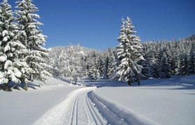 Panoramaloipe Hochreit, © Mostviertel Panoramaloipe Hochreit, © Mostviertel