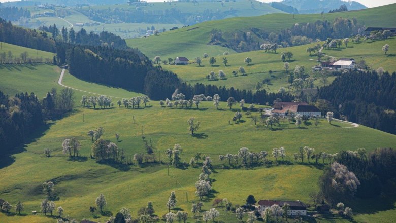 Photo point Mostviertel, © schwarz-koenig.at Photo point Mostviertel, © schwarz-koenig.at