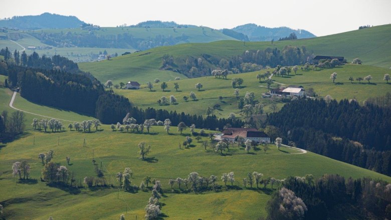 Photo point Mostviertel, © schwarz-koenig.at Photo point Mostviertel, © schwarz-koenig.at