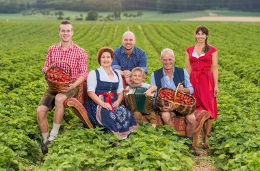 Familie Wurzer am Erdbeerfeld, © Wurzers Spezialitäten Manufaktur Familie Wurzer am Erdbeerfeld, © Wurzers Spezialitäten Manufaktur