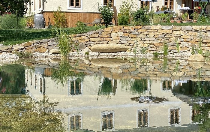 Garden pond, © Kräuterkraftwerk A garden pond with water lilies and the reflection of a house in the water.