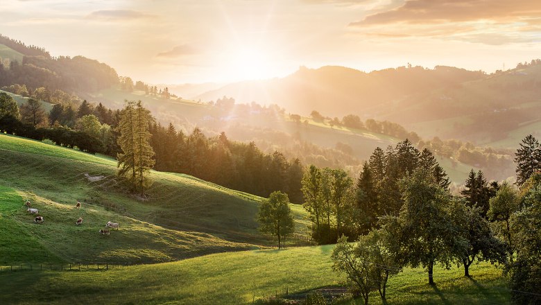 Sonnenuntergang an der Moststraße, © schwarz-koenig.at Sonnenuntergang an der Moststraße, © schwarz-koenig.at