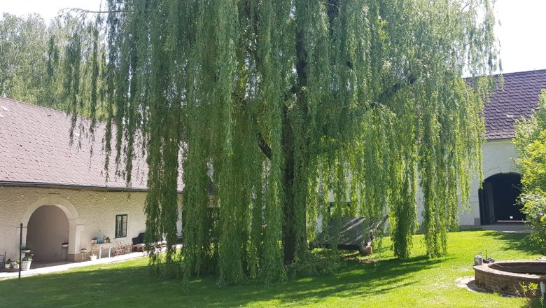 Inner courtyard, © Oliver Szilagyi Inner courtyard, © Oliver Szilagyi