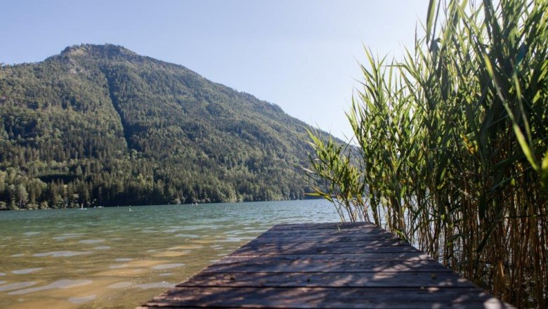 Ausblick auf den Lunzer See, © schwarz-koenig.at Ausblick auf den Lunzer See, © schwarz-koenig.at