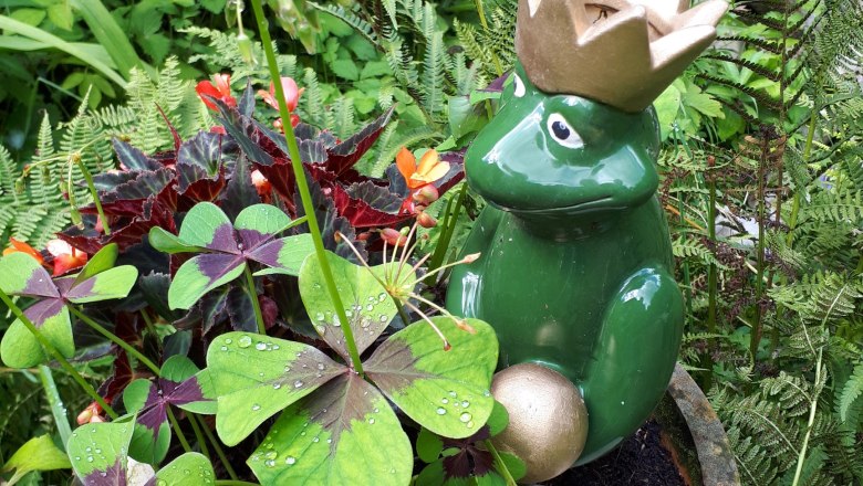 Ferienwohnung Urmannsau, © Melitta Praus Ferienwohnung Urmannsau, © Melitta Praus