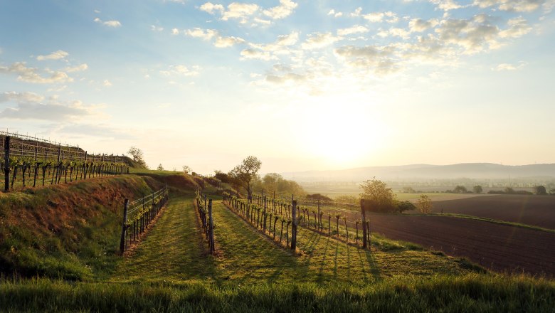 Traisental, © Weinfranz.at Traisental, © Weinfranz.at