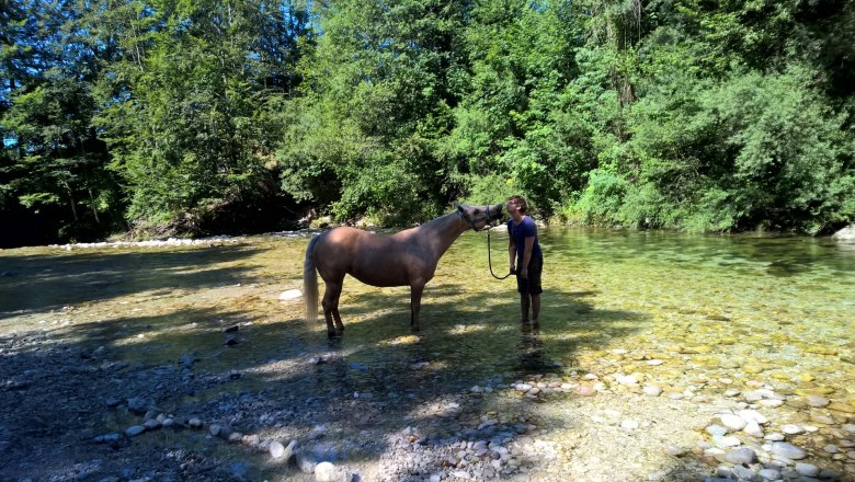 Horseback riding with the farm's own horses, © Heike und Arthur Schlögelhofer Horseback riding with the farm's own horses, © Heike und Arthur Schlögelhofer