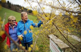 Naturerlebnispfad Weinburg, © weinfranz.at Naturerlebnispfad Weinburg, © weinfranz.at