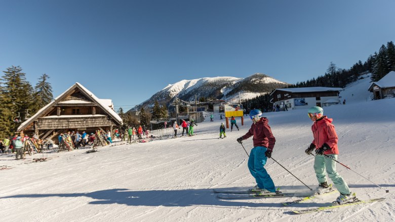 Yew tree hut, © Martin Fülöp Yew tree hut, © Martin Fülöp