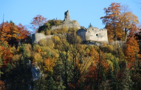 Burgruine Hohenberg, © Marktgemeinde Hohenberg Ruine der Burg Hohenberg umgeben von herbstlichen Bäumen.