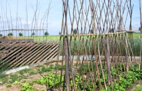 Feuer-Erde Garten, © Natur im Garten/Alexander Haiden Ein Garten mit Holzgestellen für Kletterpflanzen und grünem Gemüse im Vordergrund.