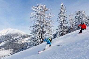 Skiing with a view of Mt. Ötscher, © schwarz-koenig.at