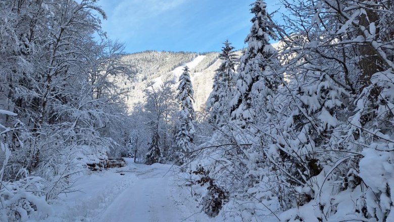 ferienhof-schelchen-im-winter-12, © Schoisswohl ferienhof-schelchen-im-winter-12, © Schoisswohl