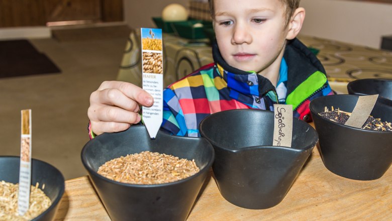 Determine grain, © Otto Brandl Determine grain, © Otto Brandl