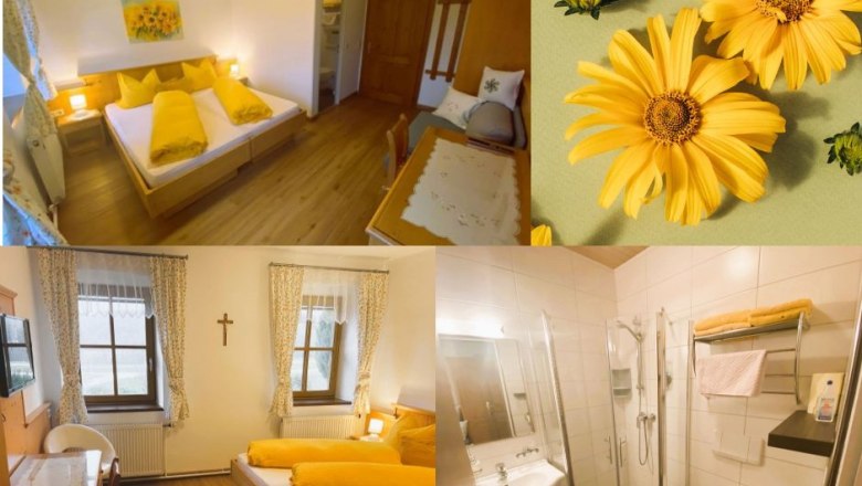 strassbauer_lothspieler_bilchlbirncollage, © Lothspieler strassbauer_lothspieler_bilchlbirncollage, © Lothspieler