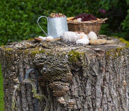 Gästebuch, © Melanie Roseneder Gästebuch, © Melanie Roseneder