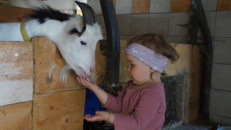 Stall, © Melanie Roseneder Stall, © Melanie Roseneder