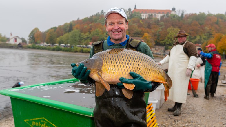 Abfischfest, © Teichwirtschaft Sitzenberg-Reidling Ein Mann hält einen großen Karpfen vor einem Teich. Im Hintergrund sind weitere Personen und ein Gebäude auf einem Hügel zu sehen.