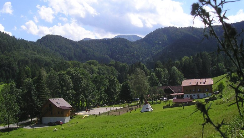 Reiterbauernhof Maho, © MAHO Landschaft mit Bauernhof, Wiesen und Wald im Hintergrund.