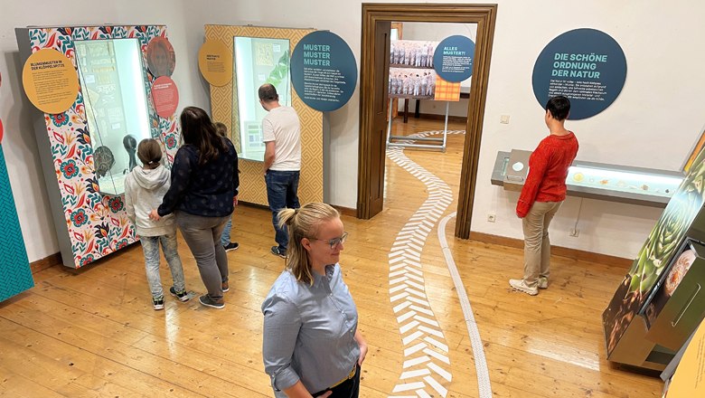 Traismauer Castle, © WeinArtZone Traismauer Castle, © WeinArtZone