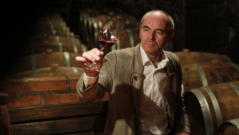 Weingut Richard Fink, © weinfranz.at Ein Mann im Weinkeller hält ein Glas Rotwein hoch.